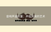音响声道数量：声临其境的艺术
