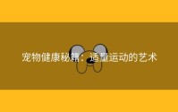宠物健康秘籍：适量运动的艺术