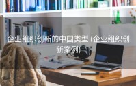 企业组织创新的中国类型 (企业组织创新案例)