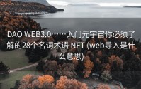 DAO WEB3.0……入门元宇宙你必须了解的28个名词术语 NFT (web导入是什么意思)