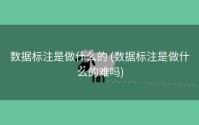 数据标注是做什么的 (数据标注是做什么的难吗)