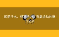 挥洒汗水，畅享活力：有氧运动的魅力之旅