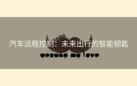 汽车远程控制：未来出行的智能钥匙