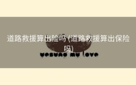 道路救援算出险吗 (道路救援算出保险吗)