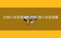 云南小车变速器专修 (云南小车变速器厂家)