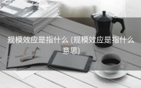 规模效应是指什么 (规模效应是指什么意思)