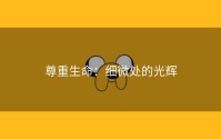 尊重生命：细微处的光辉
