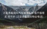 泛亚港鑫国际汽车城怎么样 值不值得买 好不好 (泛亚港鑫国际物业电话)