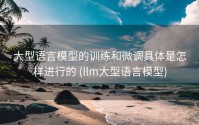 大型语言模型的训练和微调具体是怎样进行的 (llm大型语言模型)