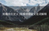 规模效应定义 (规模效应定义名词解释)