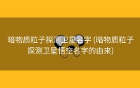 暗物质粒子探测卫星名字 (暗物质粒子探测卫星悟空名字的由来)