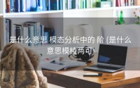 是什么意思 模态分析中的 阶 (是什么意思模棱两可)