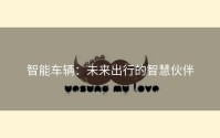 智能车辆：未来出行的智慧伙伴
