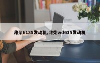 潍柴6135发动机,潍柴wd615发动机