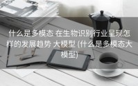 什么是多模态 在生物识别行业呈现怎样的发展趋势 大模型 (什么是多模态大模型)