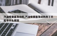 汽油喷雾器发动机,汽油喷雾器发动机热了不起车什么原因