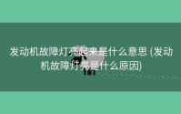 发动机故障灯亮起来是什么意思 (发动机故障灯亮是什么原因)