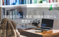 规模效应是什么意思 (规模效应是什么意思投资的)