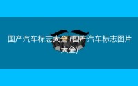 国产汽车标志大全 (国产汽车标志图片大全)