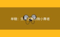 单糖：生命之舞的微小舞者