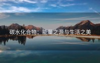 碳水化合物：能量之源与生活之美