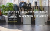 新能源汽车的上游资源争夺战 (新能源汽车的电压一般有多高,属于什么电压?)