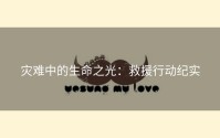 灾难中的生命之光：救援行动纪实