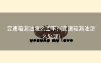 变速箱漏油怎么回事? (变速箱漏油怎么处理)