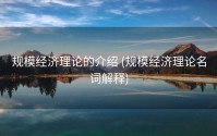 规模经济理论的介绍 (规模经济理论名词解释)