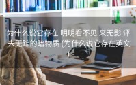 为什么说它存在 明明看不见 来无影 评 去无踪的暗物质 (为什么说它存在英文)