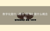 数字化是什么意思 (数字化是什么概念啊)