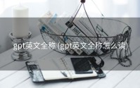 gpt英文全称 (gpt英文全称怎么读)