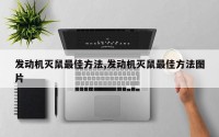 发动机灭鼠最佳方法,发动机灭鼠最佳方法图片