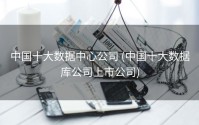 中国十大数据中心公司 (中国十大数据库公司上市公司)
