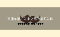 智能车辆：未来之路的学习先锋