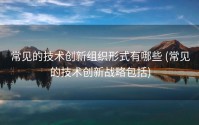 常见的技术创新组织形式有哪些 (常见的技术创新战略包括)