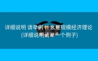 详细说明 请举例 什么是规模经济理论 (详细说明请举一个例子)