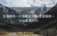 变速箱换一次油要多少钱 (变速箱换一次油要多少升)