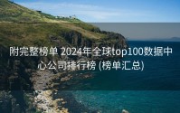 附完整榜单 2024年全球top100数据中心公司排行榜 (榜单汇总)