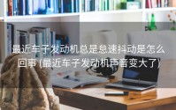 最近车子发动机总是怠速抖动是怎么回事 (最近车子发动机声音变大了)