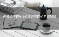 规模经济理论 (规模经济理论名词解释)