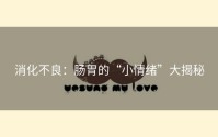 消化不良：肠胃的“小情绪”大揭秘
