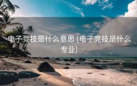电子竞技是什么意思 (电子竞技是什么专业)