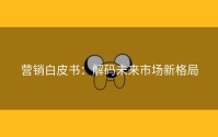 营销白皮书：解码未来市场新格局
