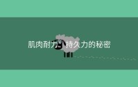 肌肉耐力：持久力的秘密
