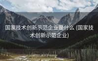国家技术创新示范企业是什么 (国家技术创新示范企业)
