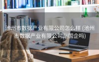 池州市数据产业有限公司怎么样 (池州市数据产业有限公司是国企吗)