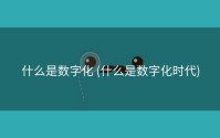 什么是数字化 (什么是数字化时代)