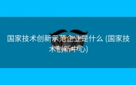 国家技术创新示范企业是什么 (国家技术创新中心)
