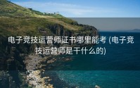 电子竞技运营师证书哪里能考 (电子竞技运营师是干什么的)